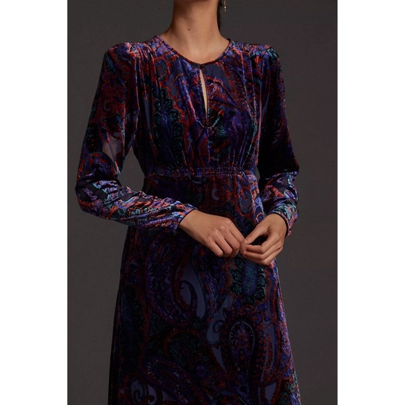 Anthropologie Burnout Velvet Maxi Dress - Picture 4 of 15